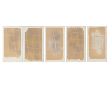 Lilane Lijn,&nbsp;American b.1939 -&nbsp;Untitled;&nbsp;spray paint on paper, pentaptych, 101 x 55.5 cm (each approx.) (5)&nb