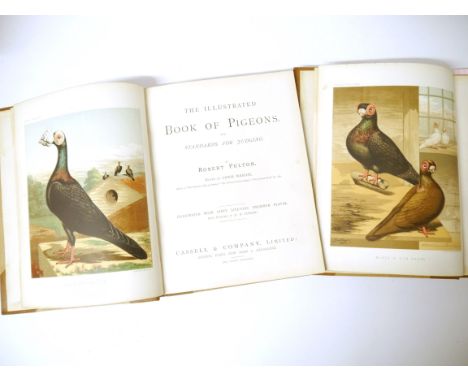 Robert Fulton: 'The Illustrated Book of Pigeons. With Standards for Judging', edited Lewis Wright, Cassell &amp; Company, cir