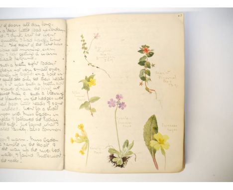 A manuscript students album of natural history observations and well executed watercolour sketches of flora and fauna dated 1