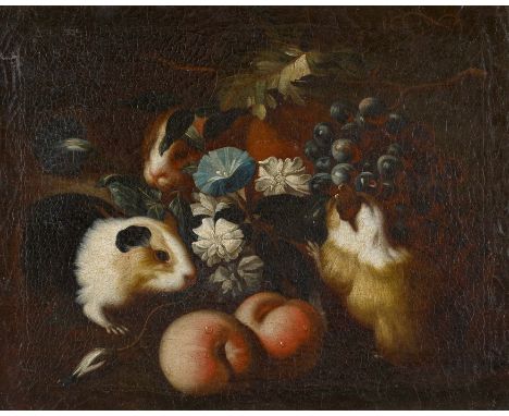   TAMM, FRANZ WERNER VON  TAMM, FRANZ WERNER VON   1658 Hamburg - 1724 Wien    Titel: Stillleben mit Meerschweinchen.    Tech