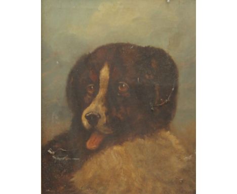 19TH CENTURY SCHOOL, A Portrait of a Dog, oil on canvas, framed. 29 x 37.5 cm.