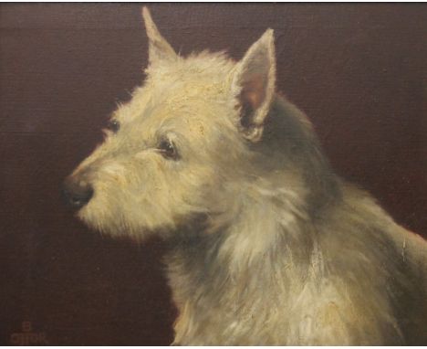 B OFFOR, A Portrait of a West Highland Terrier, oil on canvas, framed. 52 x 42 cm.