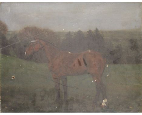 A Portrait of a Horse, oil on canvas, unframed. 50 x 40 cm.