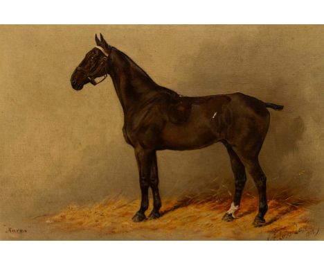 Henry Frederick Lucas Lucas (British, 1848-1943), 'Aaron' - a Bay Hunter in a stable, signed and dated 1909 l.r., and inscrib