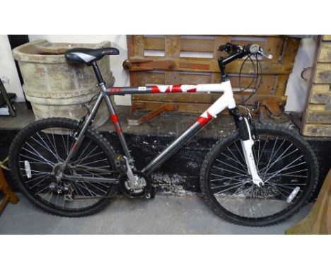 Raleigh best sale freeride at10