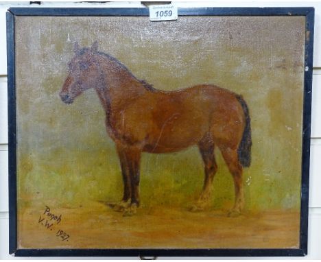 Oil on board, portrait of a pony, 1927 