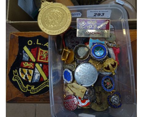 A collection of enamel lapel badges, commemorative medals etc 
