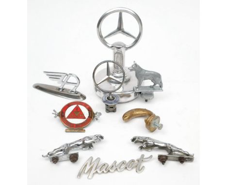 A collection of various car mascots: including a Mercedes-Benz Star and a larger desk top version, two Jaguar car mascots, an