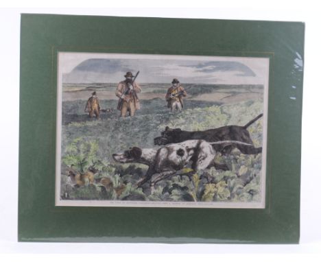 Large coloured print: The First of September, Partridge Shooting after Harrison Weir