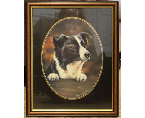 Framed and glazed print of a border collie by Pollyanna Pickering (1942-2018)