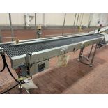 CONVEYOR FROM CHECK WEIGHER TO DATE CODER
