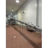 INCLINE CONVEYOR FROM CHECK WEIGHER