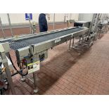 CONVEYOR FROM MVC TO METTLER TOLEDO X-RAY