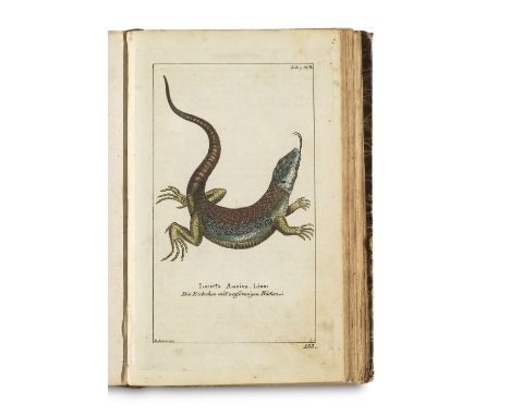 Zoologie - - Georg Heinrich Borowski. Natürliche Abbildungen der merckwürdigsten Amphybien nach ihren Geschlechtern (= Gemein