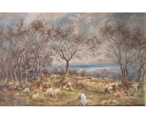 William R HoylesEarly Spring Gloddaeth Woodssigned, watercolour, 35cm x 54cm 