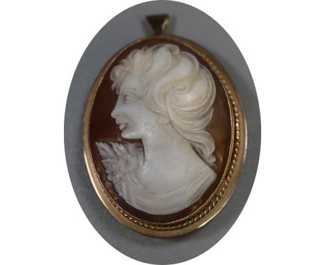 9ct gold oval shell cameo portrait pin brooch/pendant. (B.P. 21% + VAT) 