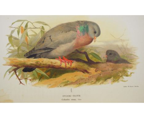 Lilford, Thomas L. Powys. Coloured Figures of the Birds of the British Islands, 7 volumes, first edition, photogravure portra