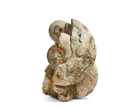 AN AMMONITE (CEPHALOPOD) ENCRUSTED SANDSTONE SPECIMEN  60cm high and wide     