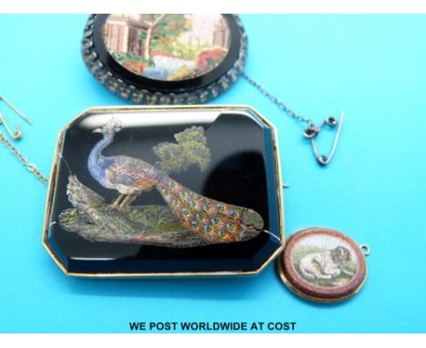 A micro mosaic brooch in the form of a peacock in yellow metal mount, another similar example with spaniel decoration in suns