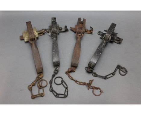 *  Four gin traps, one stamped with illegible name ......... &amp; Co, another stamped Gilpa 2nd.