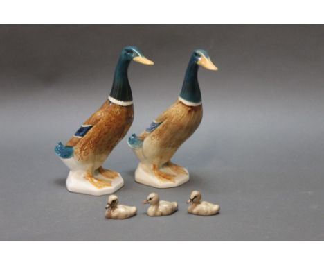 Three Beswick cygnets, together with two ducks, model No. 756.