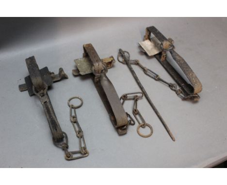 *  Three gin traps, two marked Gilpa 2nd and with number 5.