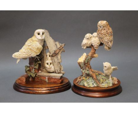 Two Border Fine Arts figures "A Watchful Eye" tawny owl and chicks, model No. SOC8 together with "Barn Owl Family", model No.