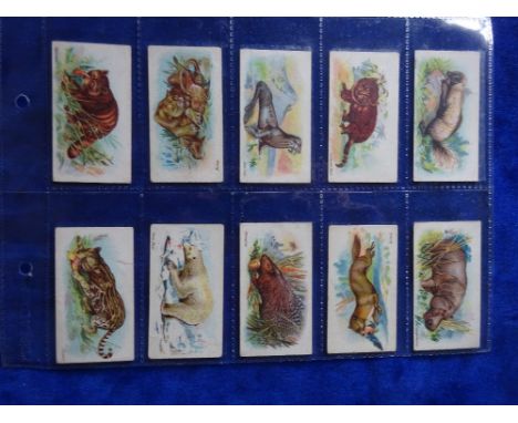Cigarette cards, Wills Wild Animals of the World, green scroll backs, set 50 cards (fair/gd)