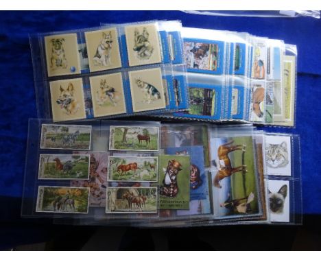 Trade cards, Animal related, 13 complete sets including Gartmann series 410 Horses, Kit Houghton  Show Jumping cards, Brindle
