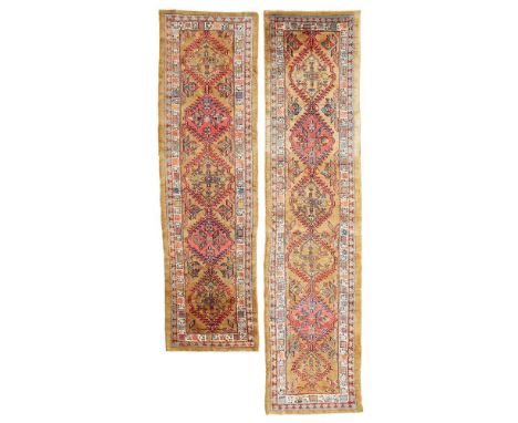 one of shorter length, each with camel field with column of red and camel lozenge medallions, within ivory geometric palmette