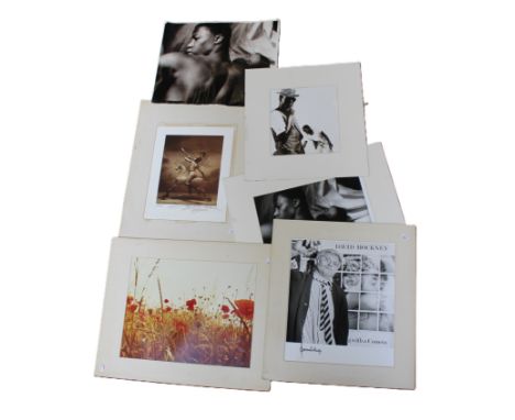 Norman Parkinson ( 1913-1990). Portrait of David Hockney. Photographer's stamp printed verso. Signed in felt tip lower left, 