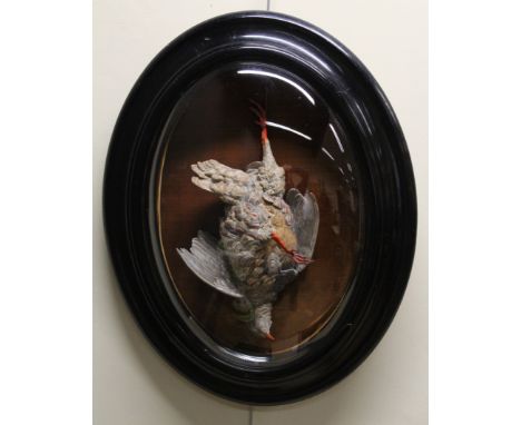 An early 20th ceramic/ painted plaster red legged partridge in an oval convex picture frame case, 60 x 50cm