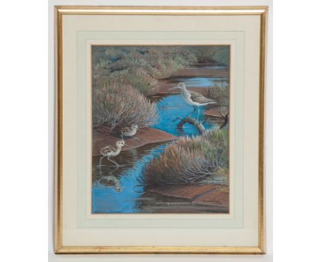 * DONALD WATSON (SCOTTISH 1918 - 2005),GREENSHANKgouache on paper, signed and dated 196838cm x 31cmMounted, framed and under 