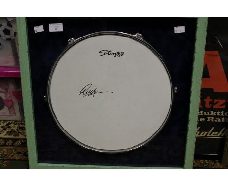 The Beatles drummer Ringo Starr 'Stagg' drumhend and skin signed by Ringo Starr, framed