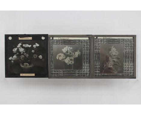 Six boxes of glass/lantern slides and a box of slide boxes