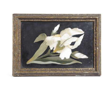 A VICTORIAN PIETRE DURA PANEL  MID-19TH CENTURY depicting a white lily with green leaves on a black ground 17cm x 11cm