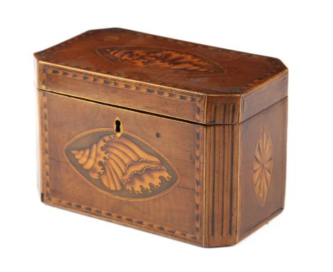 A GEORGE III MAHOGANY AND MARQUETRY TEA CADDY LATE 18TH CENTURY of canted form inlaid with conch shells, fan paterae and an o