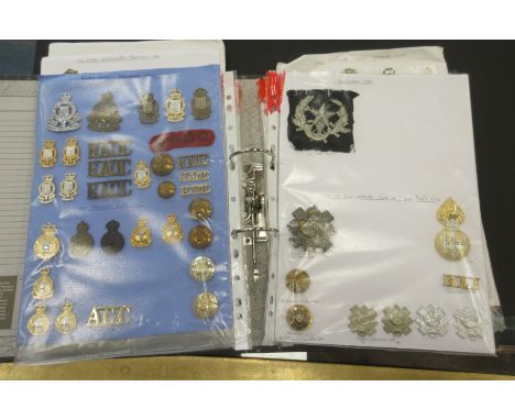 A South Staffordshire Regiment Cap Badge and two shoulder badges; Berkshire Regiment, Hertfordshire Regiment cap badges; The 
