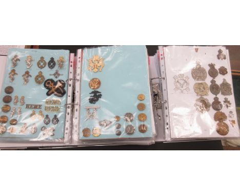 Two folders containing a large quantity of cap, shoulder and other badges, button and cloth badges including Gloucester Regim