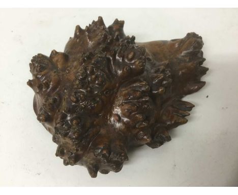 Rare 19th century Scottish burr walnut snuff box, by George Sinclair, Bennington, natural form, hinged section to base, stamp