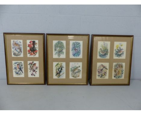 Tunnicliff prints depicting birds. Four pictures in each frame. 