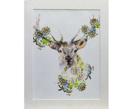 LOLA DESIGN (SCOTTISH CONTEMPORARY) STAG giclee print on paper, signature debossed on mount 40cm x 30cm Mounted and unframed 