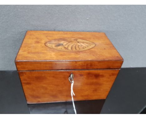 A GEORGIAN INLAID MAHOGANY TEA CADDY WITH PATERAE TO COVER KEY 18.5CM WIDE