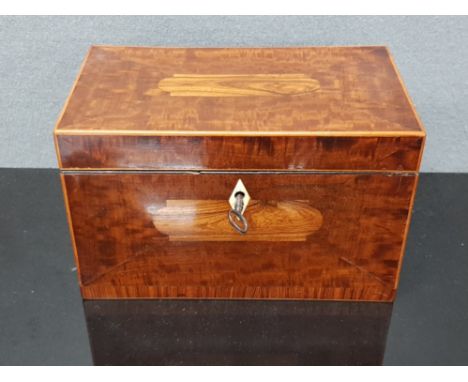 A GEORGIAN KINGWOOD AND MAPLE TEA CADDY WITH IVORY ESCUTCHEON AND KEY 20CM WIDE