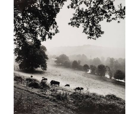 *Beaton (Cecil, 1904-1980). Study of landscape and river, 1940s,  gelatin silver print, later printing, 31 x 30cm, mounted, t