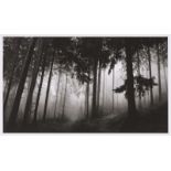 Robert Longo. Untitled (Fairmount Forest). 2014