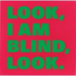 Rémy Zaugg. „LOOK,/I AM/BLIND,/LOOK., (No. 3) (violet-rouge/vert)“. 1998/99