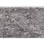 Thomas Hartmann. „FLECKEN“. 1996