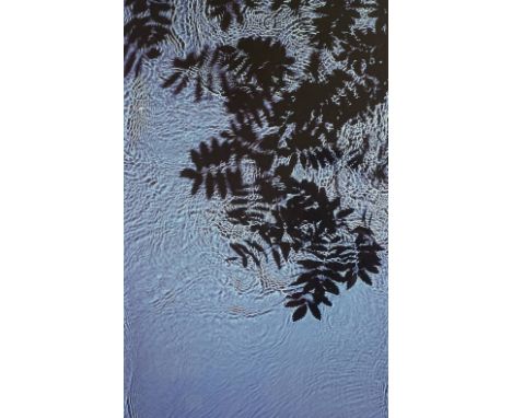 Susan Derges, cibachrome print, River Taw series, 1997, signed and numbered 75/100, image 30.5" x 11", framed, provenance: Ey