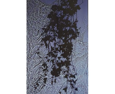 Susan Derges, cibachrome print, River Taw series, 1997, signed and numbered 52/100, image 30.5" x 11", framed, provenance: Ey
